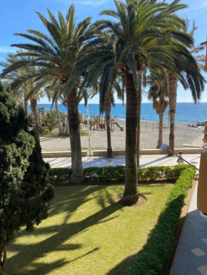 Las Palmeras, Algarrobo